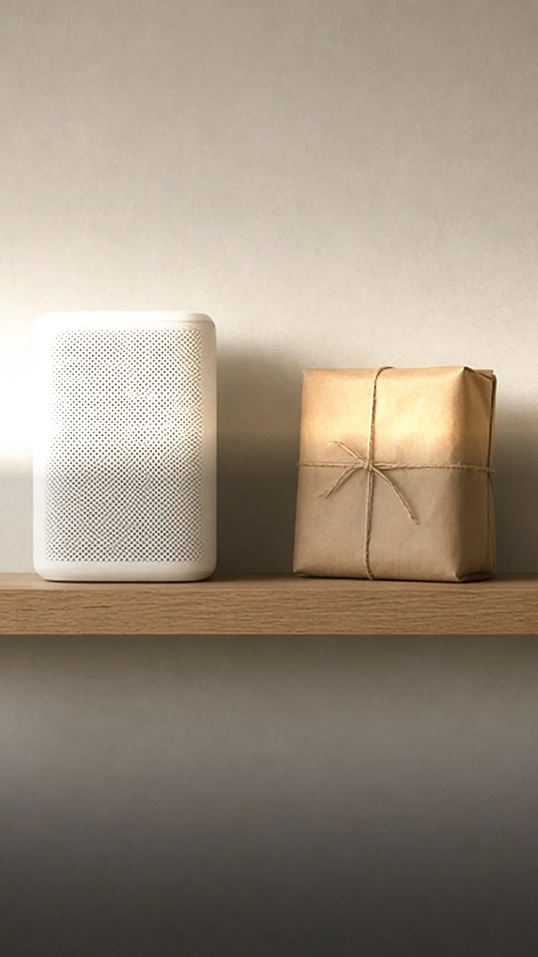 An air purifier on a shelf beside a wrapped replacement filter